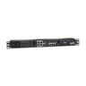 NetBotz Rack 250A