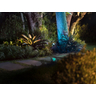 HUE ZB-Lily XL Spot Light Low Volt Bk-BT