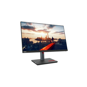 Lenovo, ThinkVision P24h-30 23.8 inch Monitor