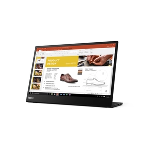 Lenovo, ThinkVision M14