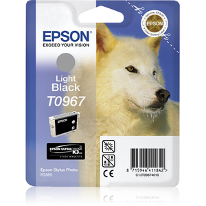Epson, Ink Cart - Light Black (R2880)