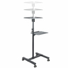 Mobile Projector And Laptop Stand / Cart