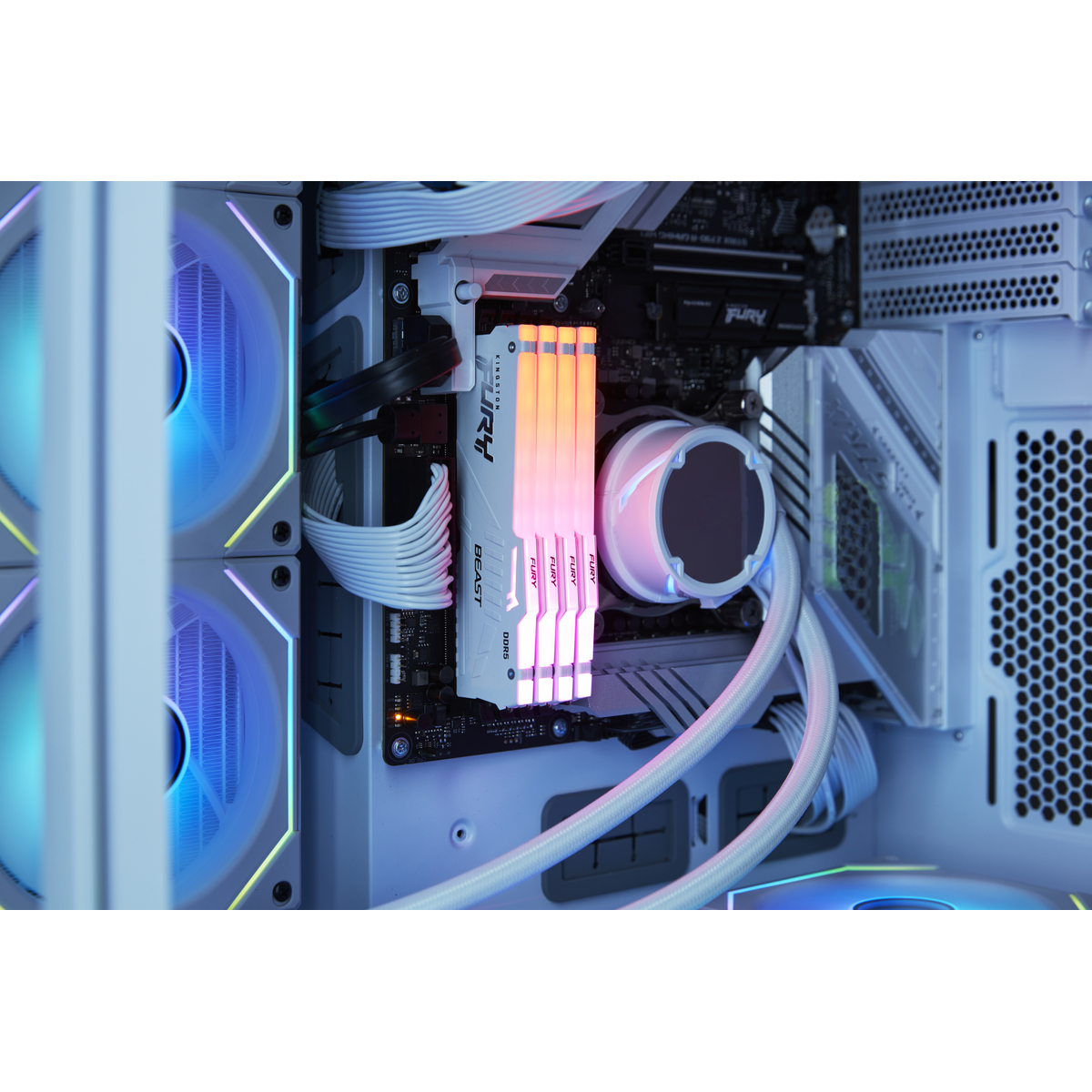 D5 D 6000 32GB Kit Fury Beast WHT RGB