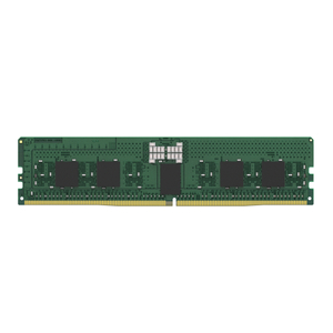 Kingston, D5 D 5600 16GB MOD 1RX8 Hynix A Renesas