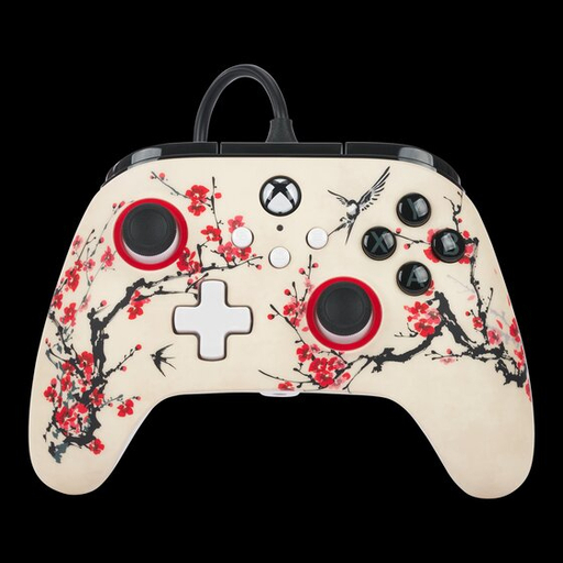AdvanWiredConXboxSeriesX SWarriorNirvana