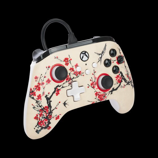 AdvanWiredConXboxSeriesX SWarriorNirvana