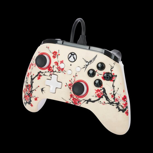 AdvanWiredConXboxSeriesX SWarriorNirvana