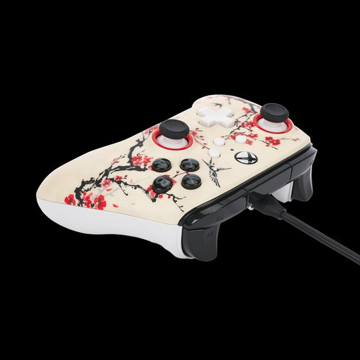 AdvanWiredConXboxSeriesX SWarriorNirvana