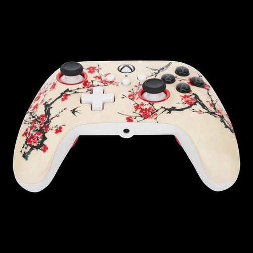AdvanWiredConXboxSeriesX SWarriorNirvana