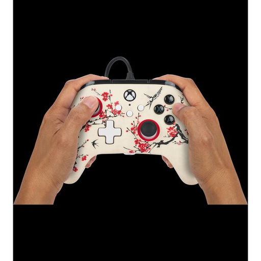 AdvanWiredConXboxSeriesX SWarriorNirvana