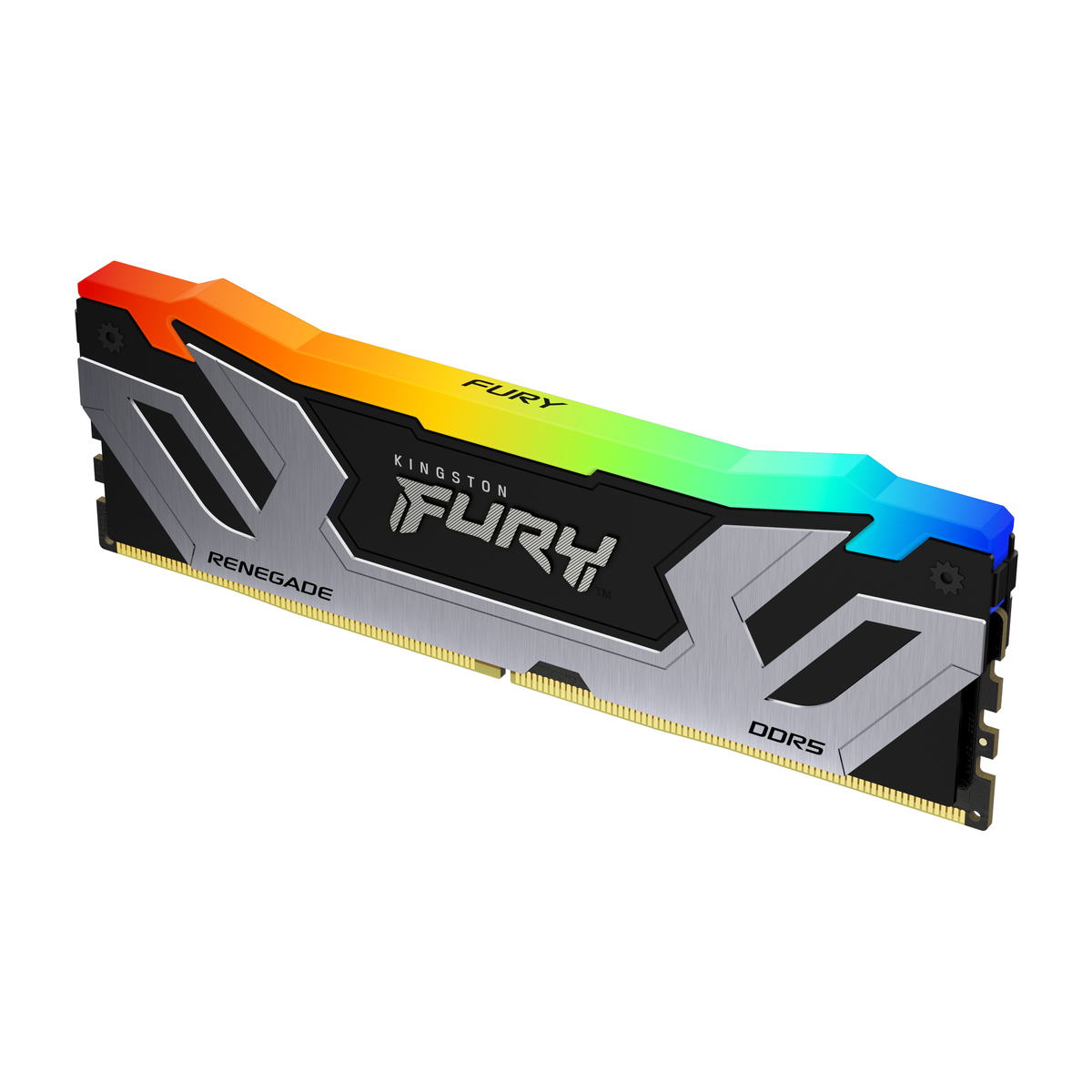 D5 CUD 8400 1x24GB Renegade RGB Silver