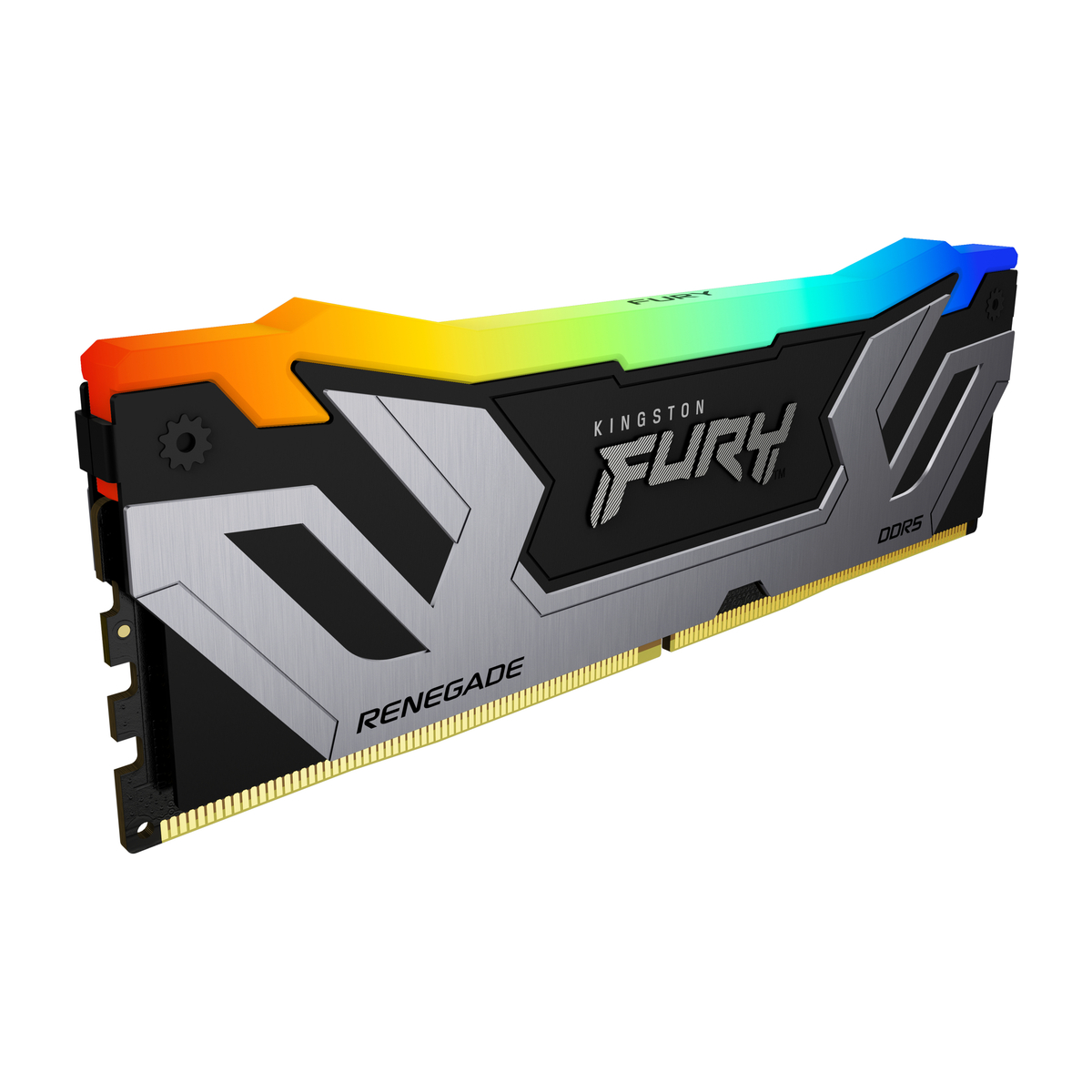 D5 CUD 8400 1x24GB Renegade RGB Silver