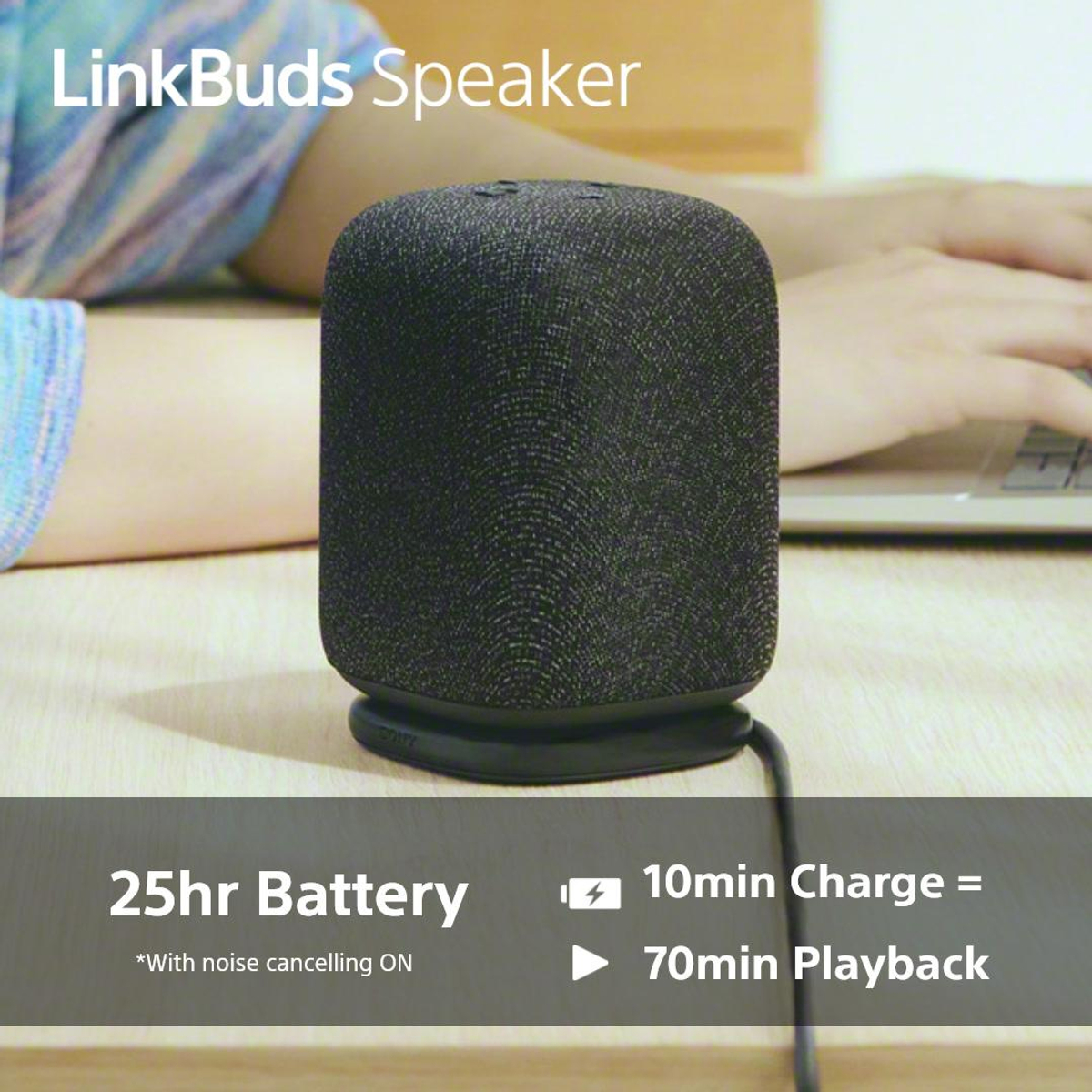 LinkBuds Wireless Portable Speaker Black
