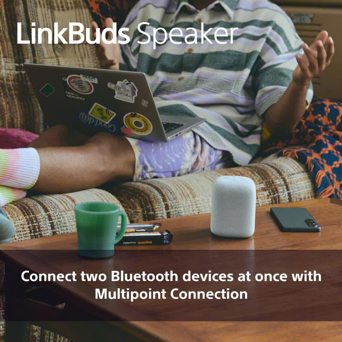 LinkBuds Wireless Portable Speaker Black