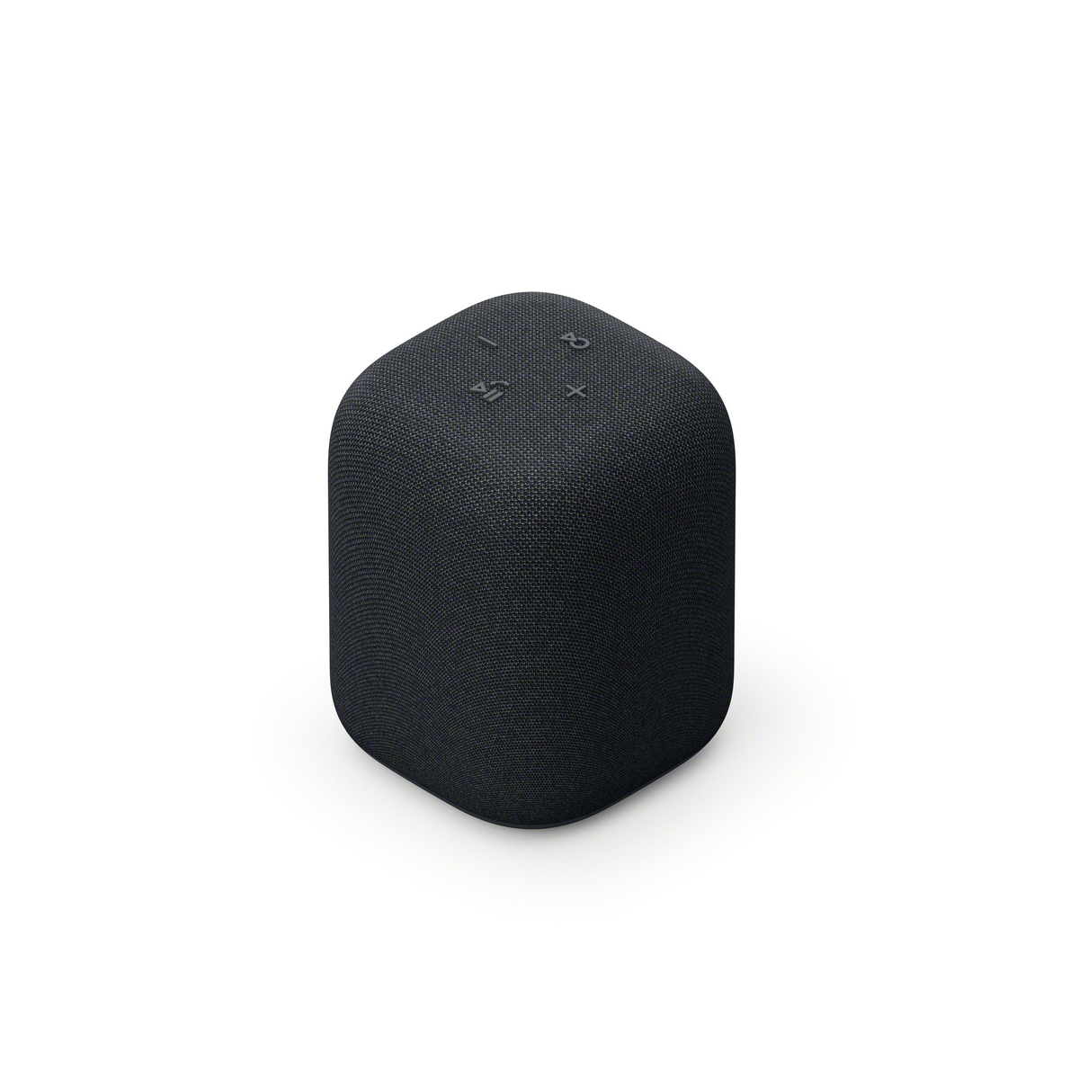 LinkBuds Wireless Portable Speaker Black