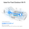 AX3000 Outdoor/Indoor Mesh Wi-Fi 6 Unit