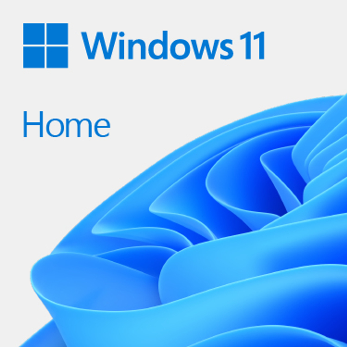 O/S Win 11 Home 64bit Eng Int OEM DVD