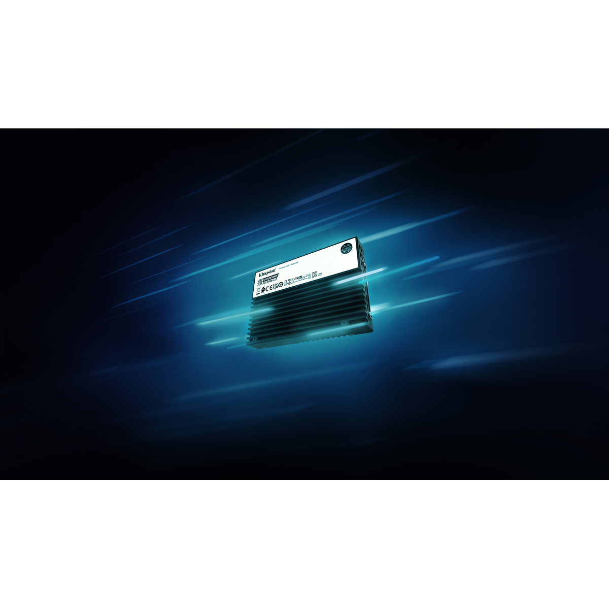 SSD Ent 15.36TB DC3000ME NVMe U.2