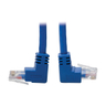 Cat6 Patch Cable Up/Dwn Angle Blue 0.31m