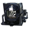 OEM lamp 160-00072