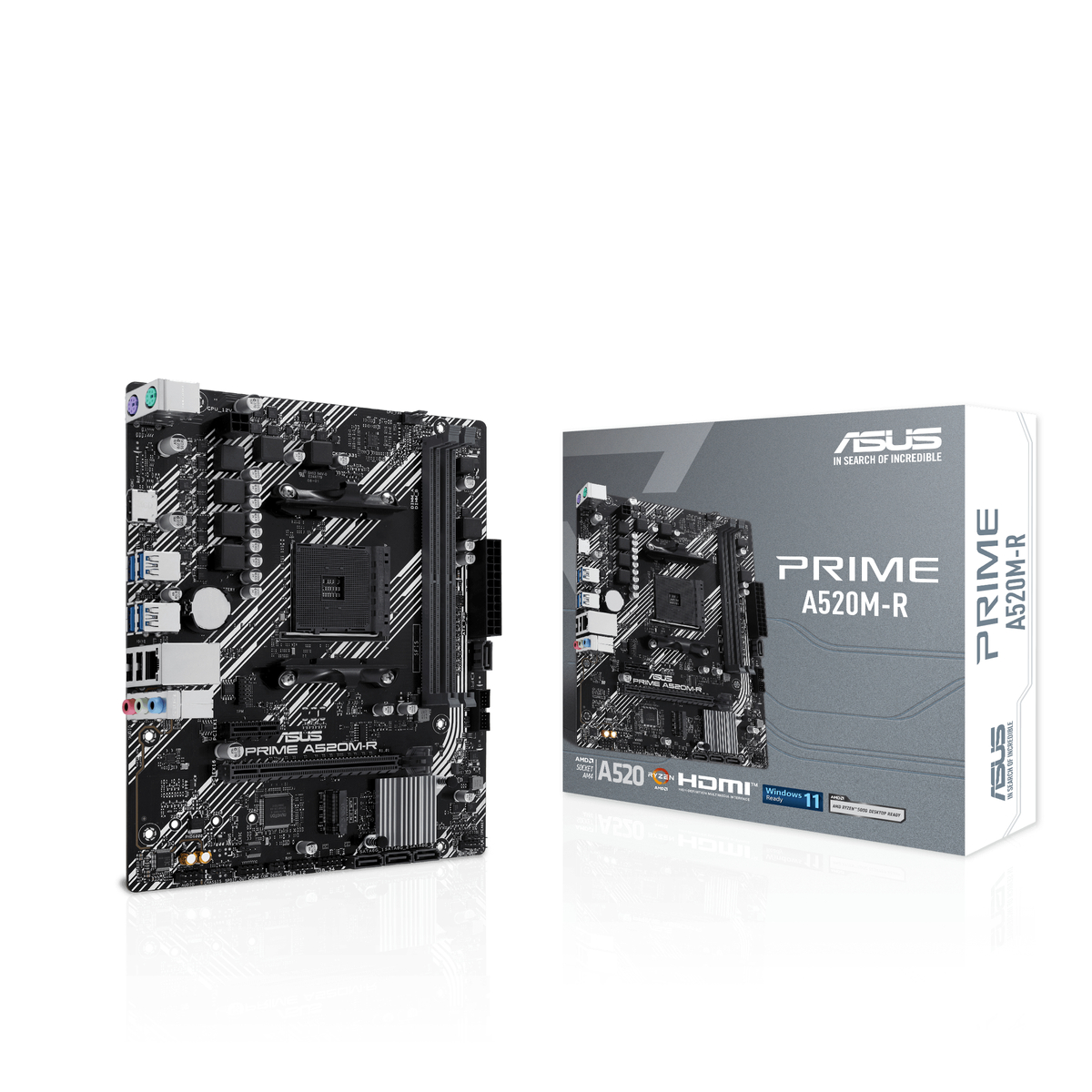MB AMD AM4 A520M-R Prime D4 MATX