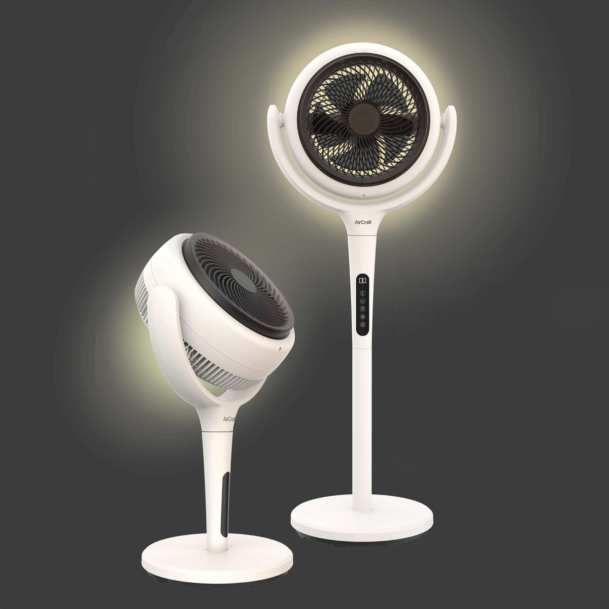 LUME Quiet 2-in-1 Air Circulator Fan