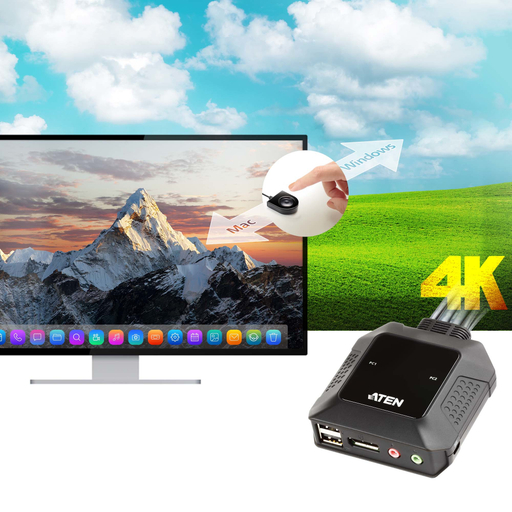 DP Mon out RemotePort Select 4K30hzAud