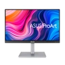 PA247CV Pro Monitor 23.8