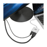 USB-C Adapter 4K at 30Hz PD Charging