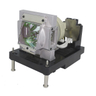 OEM lamp 100013280