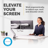 Eppa Crossbar Monitor Arm - Silver