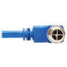 M12 X-Code Cat6 1G UTP CMR-LP Blue 2 m