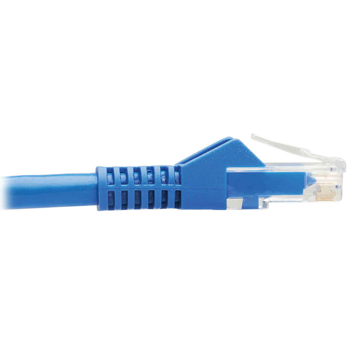 M12 X-Code Cat6 1G UTP CMR-LP Blue 2 m