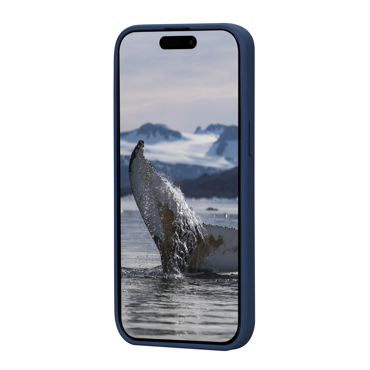 DBM1928 Greenland iPhone 15 Plus Blue