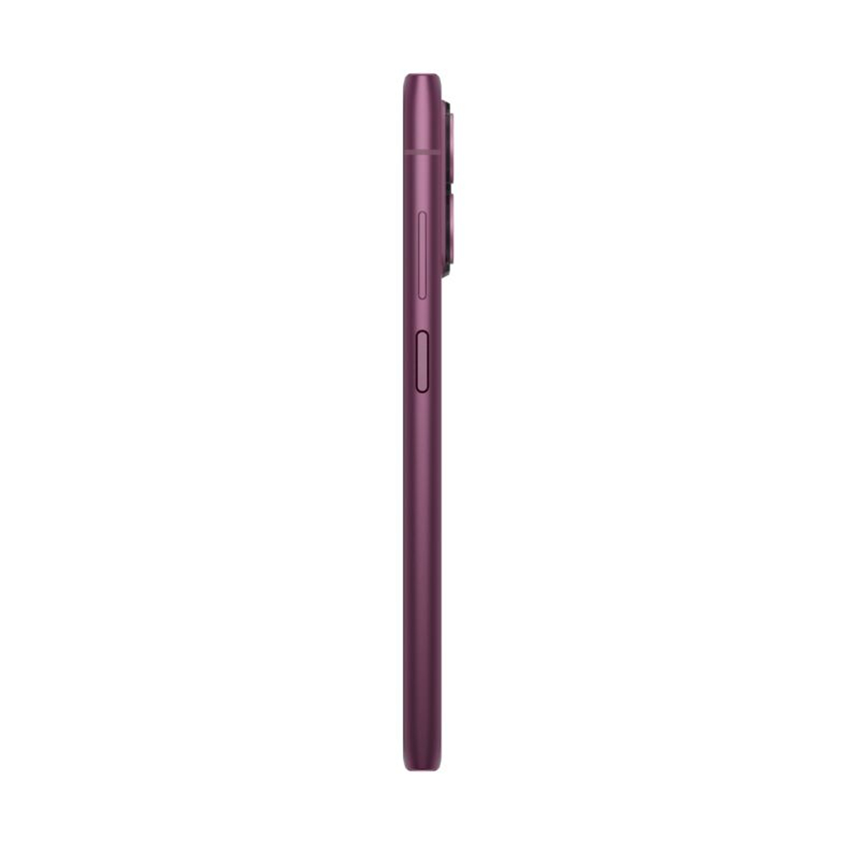 SKYLINE TA-1600 DS 8 256 EURO1D PINK