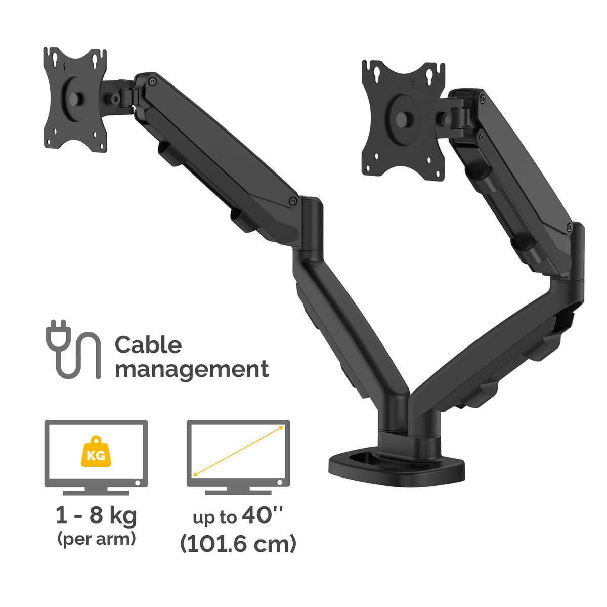 Eppa Dual Monitor Arm - Black