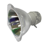 OEM lamp 1025290