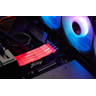 24GB 8800MTs D5 CL42 CUDIMM FURYRenegade