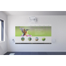 EB-1485FI 240v Projector