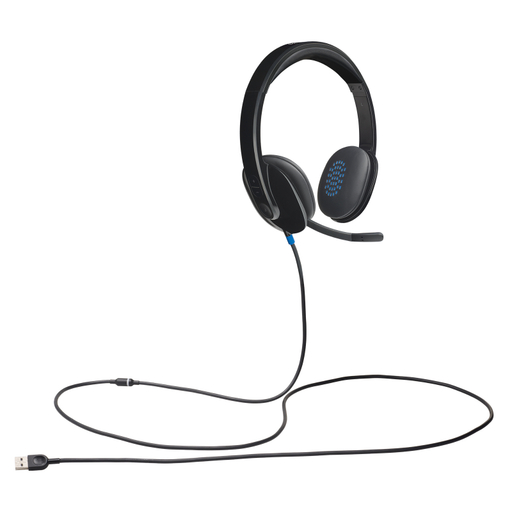 Usb Headset H540 - Usb - Brown Box