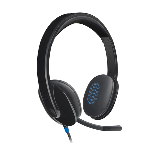 Usb Headset H540 - Usb - Brown Box
