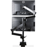 Desk Mount Dual Monitor Arm - 32in VESA