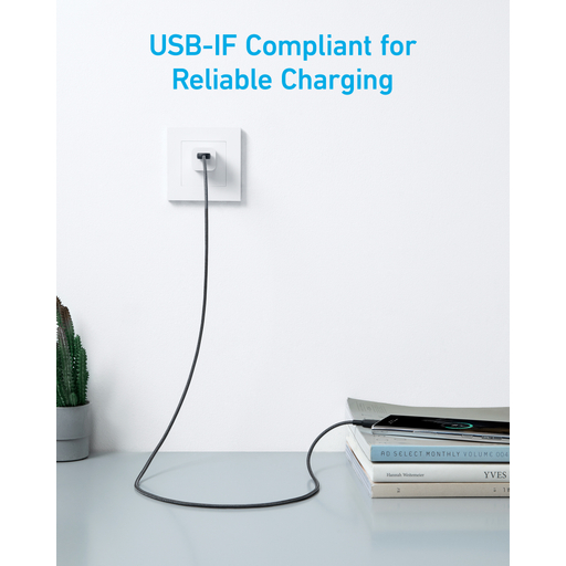 322 USB-A To USB-C Cable (3ft Braided)