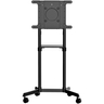 Mobile TV Cart/Stand 37-70in VESA Mount