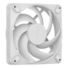 FAN Momentum 12 White
