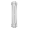 FAN Momentum 12 White