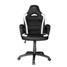 GXT1701W Ryon Chair White