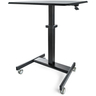 Mobile Standing Desk - Sit-Stand Cart