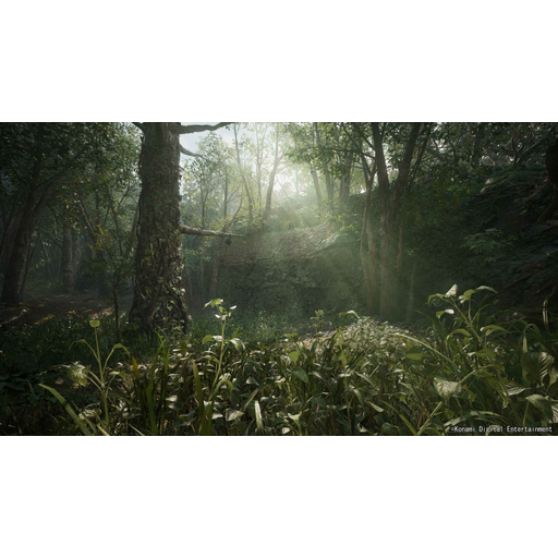 METAL GEAR SOLID SNAKE EATER Day1 Ed XSX