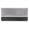 ACC Thock Palm Rest